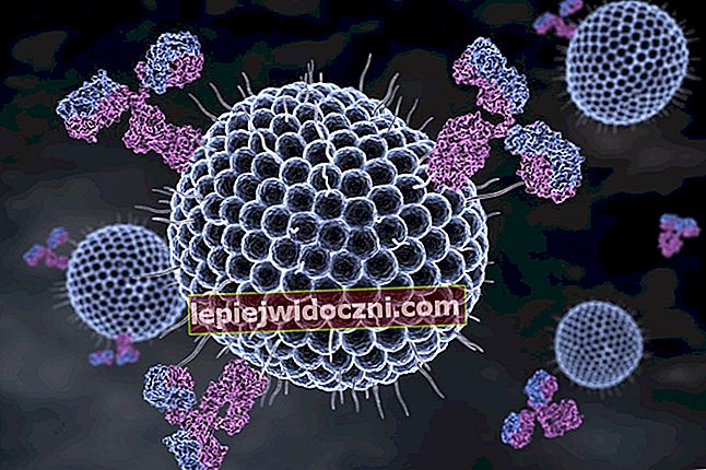 Oprócz Corony, oto 6 najbardziej śmiercionośnych wirusów na świecie