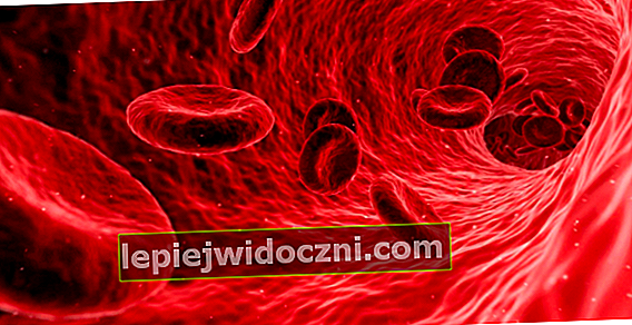 Каква е функцията на кръвта за човешкото тяло?
